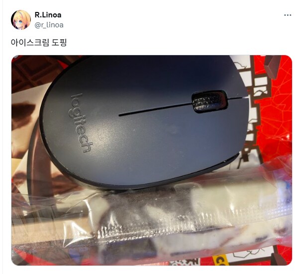 리노아님이 드시고 잠 못 이루시는 아이스크림.jpg_1.png