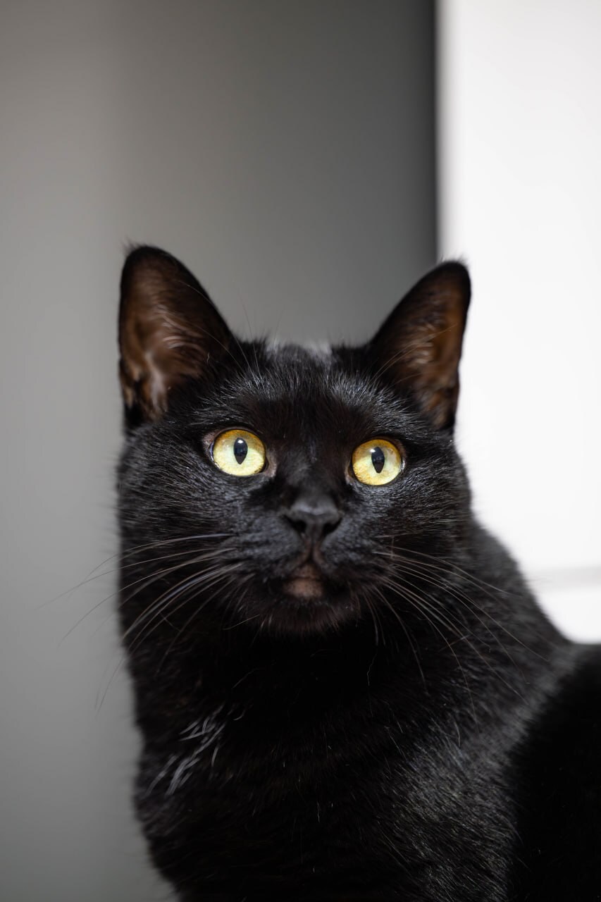 야밤에 신기한걸 보여드림 몇분 걸림_5.jpg