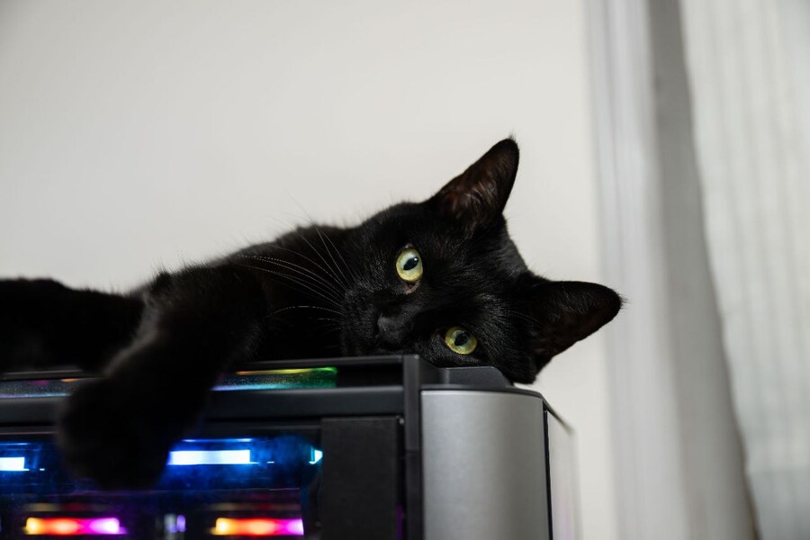 야밤에 신기한걸 보여드림 몇분 걸림_6.jpg