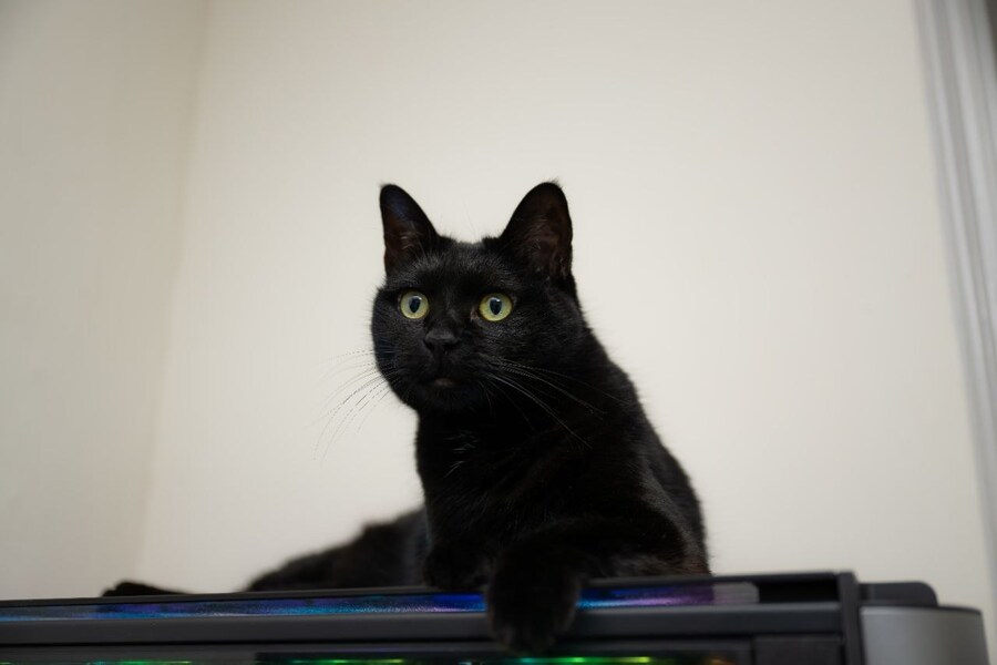 야밤에 신기한걸 보여드림 몇분 걸림_7.jpg