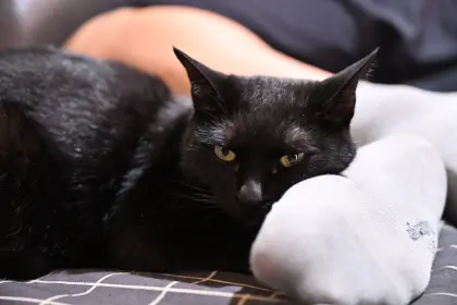 야밤에 신기한걸 보여드림 몇분 걸림_18.webp