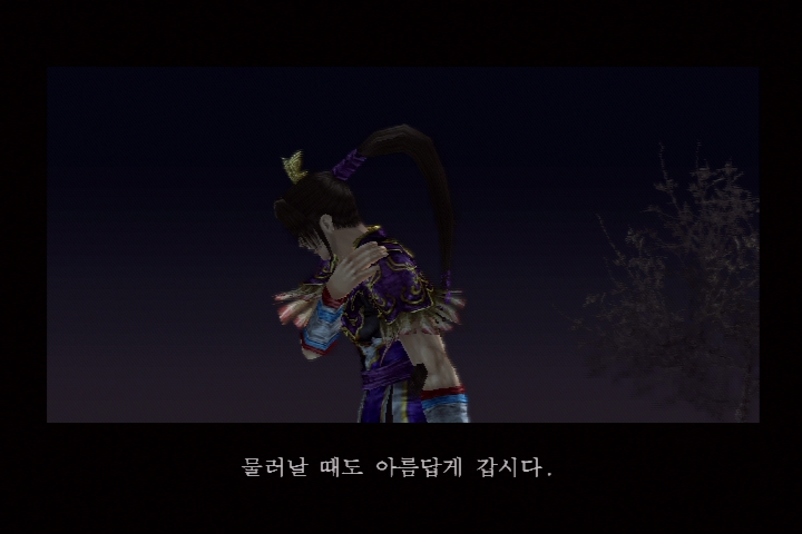 진 삼국무쌍 3_35.jpg