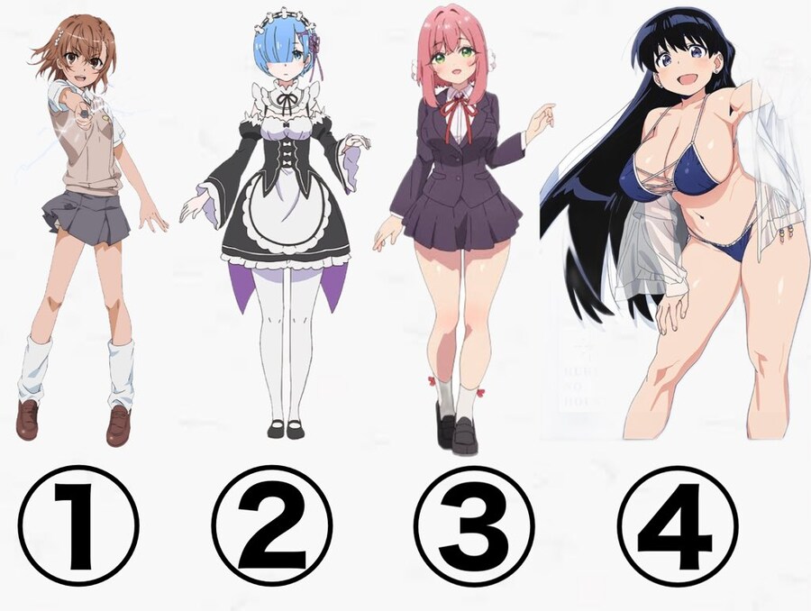 유게이들의 가슴취향은 어느쪽입니까.jpg_1.jpg