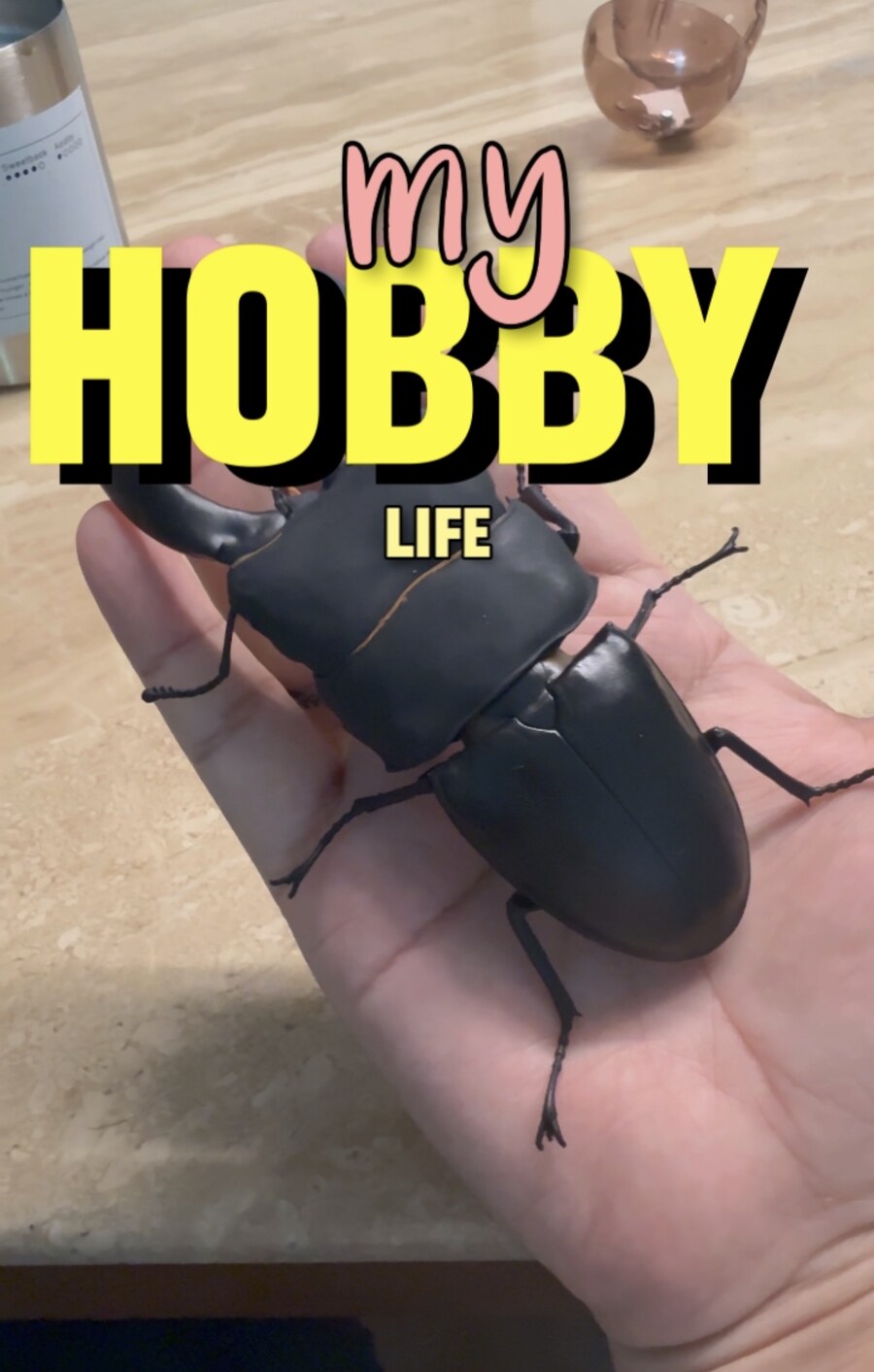 장난감 사러 어디까지 가봤니?? (초 스압)_1.jpg