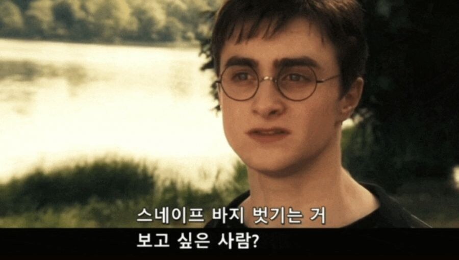 해리포터)대놓고 호불호 갈리는 관계_3.jpg
