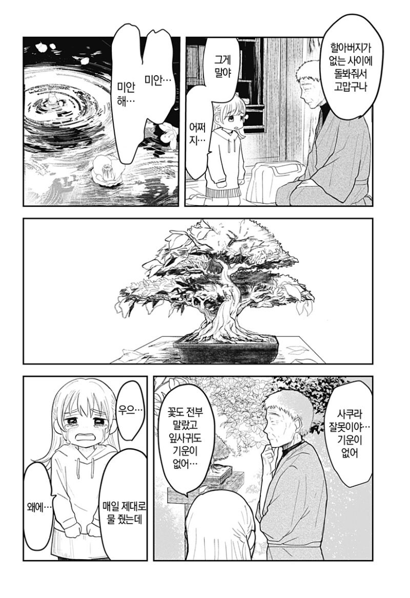 사쿠라의 정원 만화 .manhwa_33.jpg