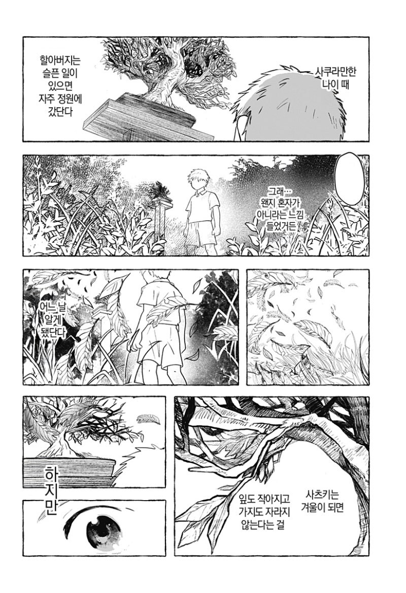 사쿠라의 정원 만화 .manhwa_39.jpg