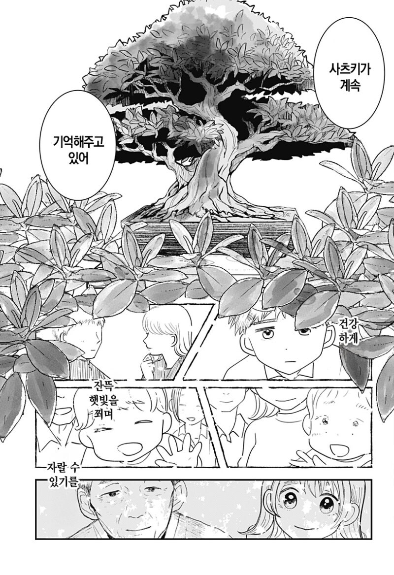 사쿠라의 정원 만화 .manhwa_44.jpg