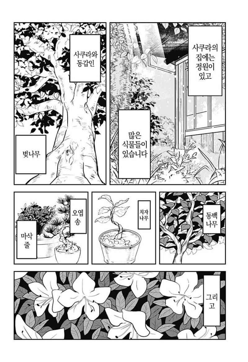 사쿠라의 정원 만화 .manhwa_57.jpg