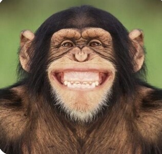 SF) 전작능욕은 패시브로 깔고가는 유명 시리즈 /스포/_10.png