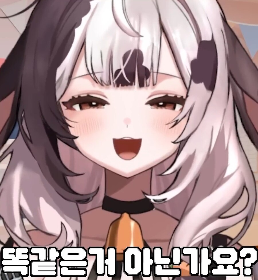 건담은 또봇같다는 여성 방송인_5.jpg
