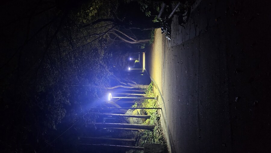 다시찾은 봉래산_2.jpg