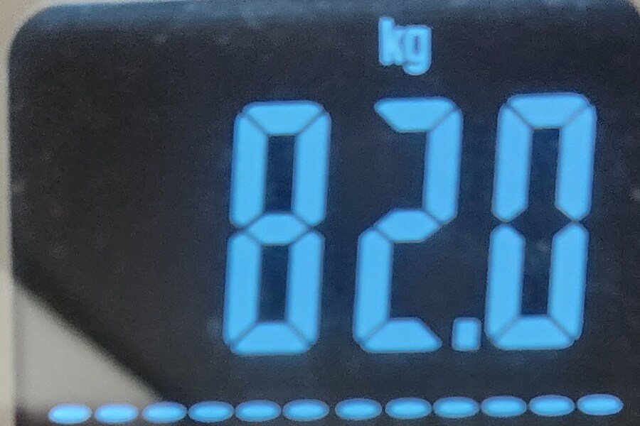 으른양 다이어트 94일차 -끝-_6.png