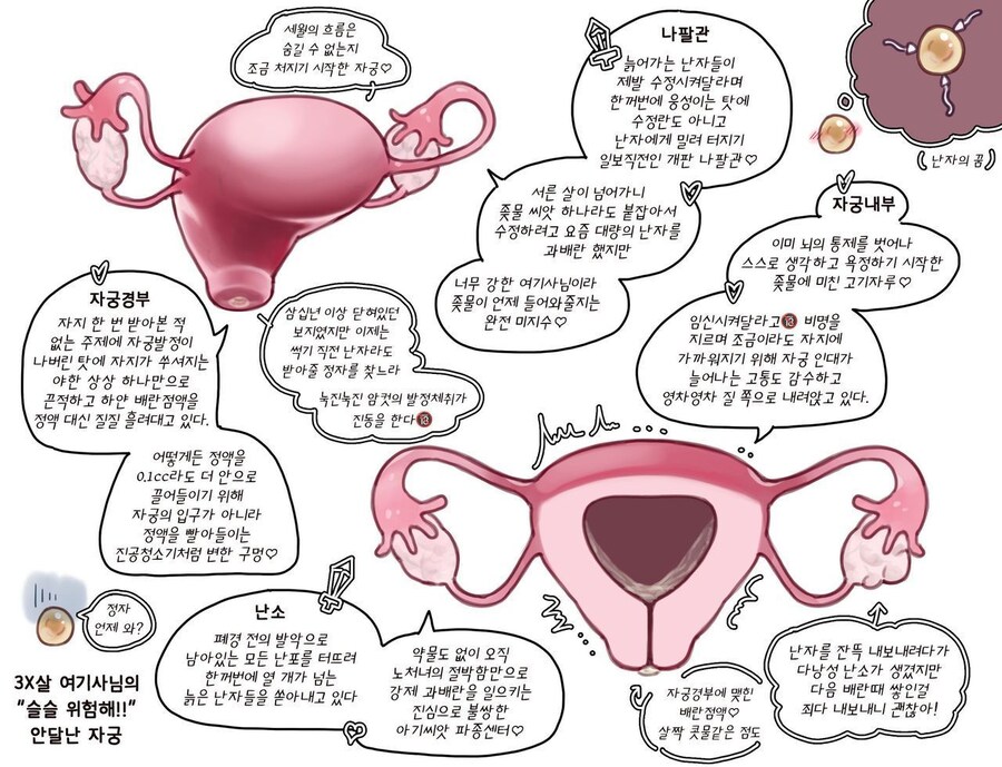 분명 베스트감인데 유게에 올리기엔 쫄리는짤.jpg_1.jpg