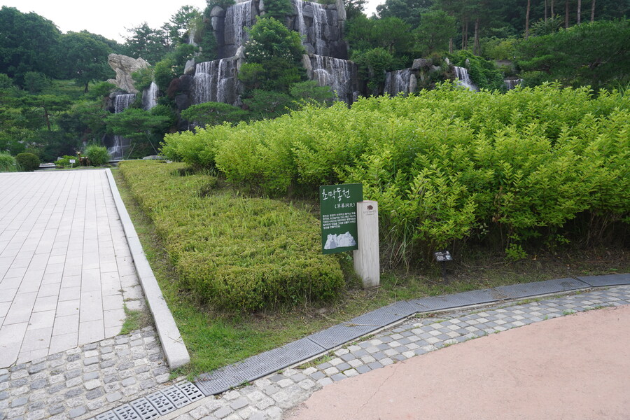 7월, 초막골생태공원과 왕송호수 탐조_5.jpg