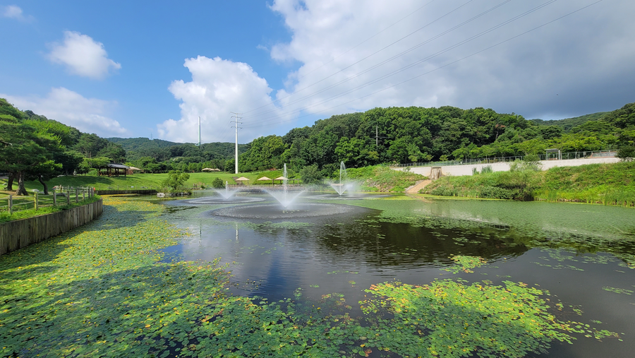 7월, 초막골생태공원과 왕송호수 탐조_11.webp