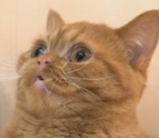 오늘 개봉한 이 영화를 소개합니다.movie_7.png