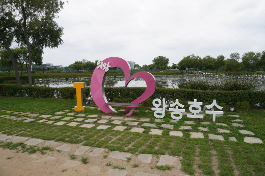 7월, 초막골생태공원과 왕송호수 탐조_34.webp