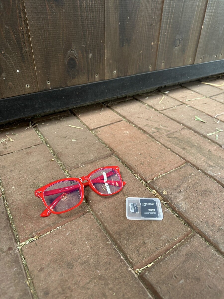 경마) / 말딸) 트랜센드의 영압이..!_1.jpg