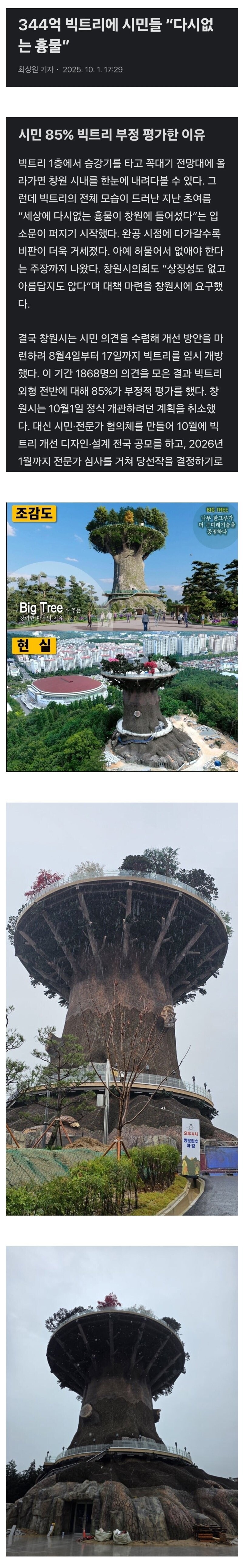 저주받은 생명의 나무가 있다는 창원시 근황_1.jpg
