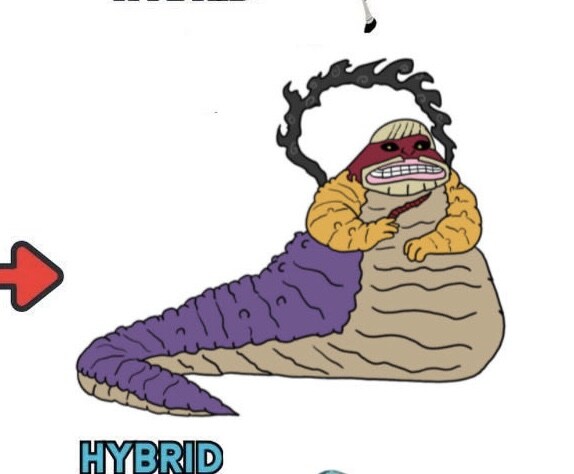 원피스 오로성 인수형 추측관련 터진거_2.jpg