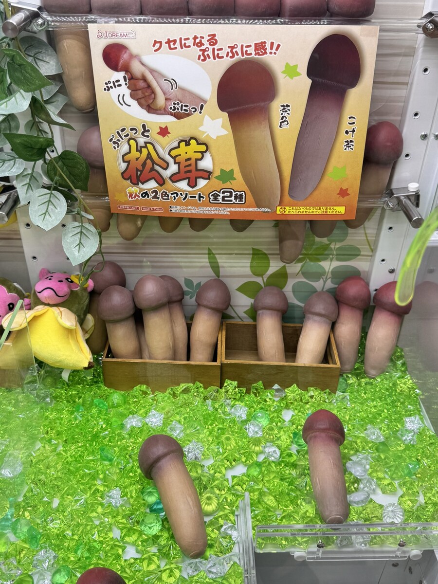말랑말랑 송이버섯_1.jpg