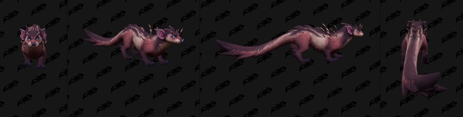 와우 한밤 하라니르 드루이드 모든 폼 공개 (+주술사 토템)_25.jpg