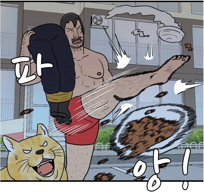캣맘 요약 甲 of 甲_1.png