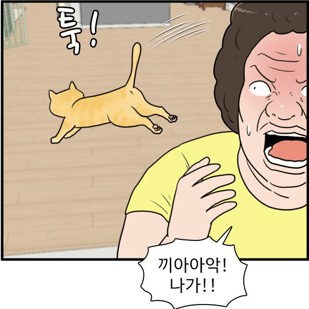 캣맘 요약 甲 of 甲_4.jpg