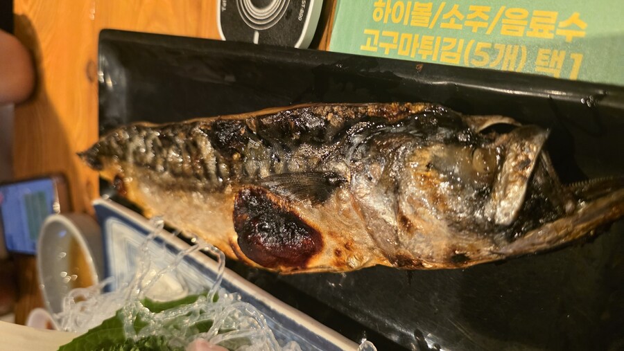 삼성역)광어 산낙지 고등어구이 35000원!_5.jpg