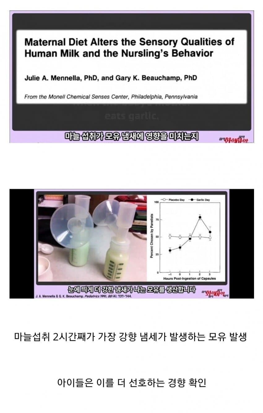 환웅 이 미친 새끼...(개천절 기념)_1.jpg