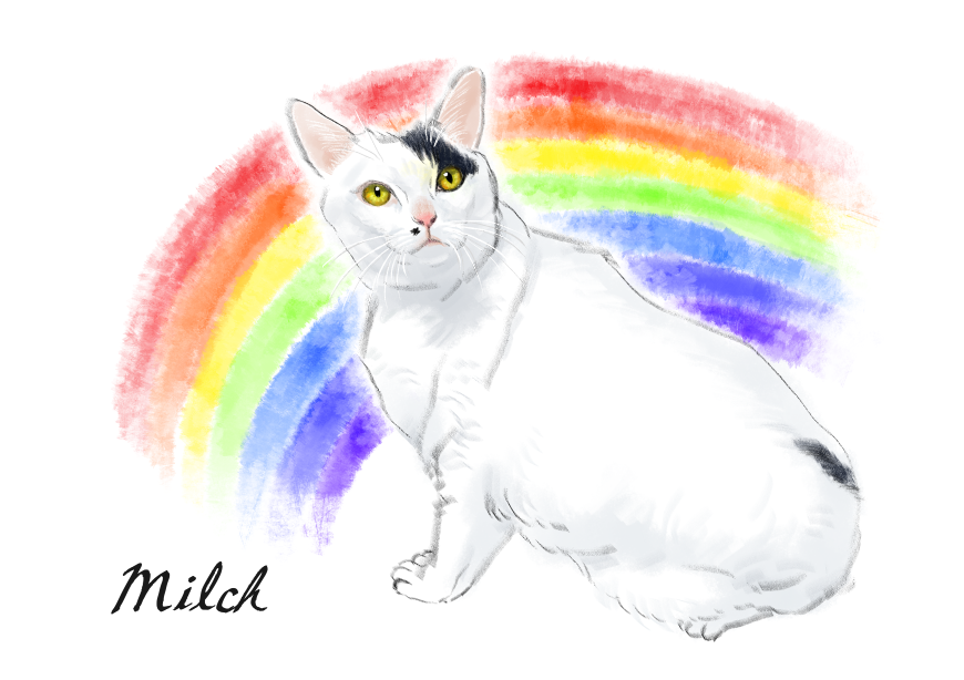 고양이) 넘으집 고양이_1.png