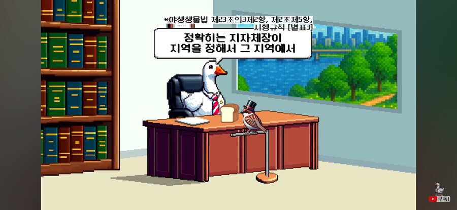 비둘기 밥주면 진짜 과태료를 내는가?_5.jpg
