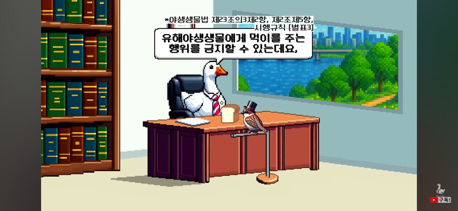 비둘기 밥주면 진짜 과태료를 내는가?_6.jpg