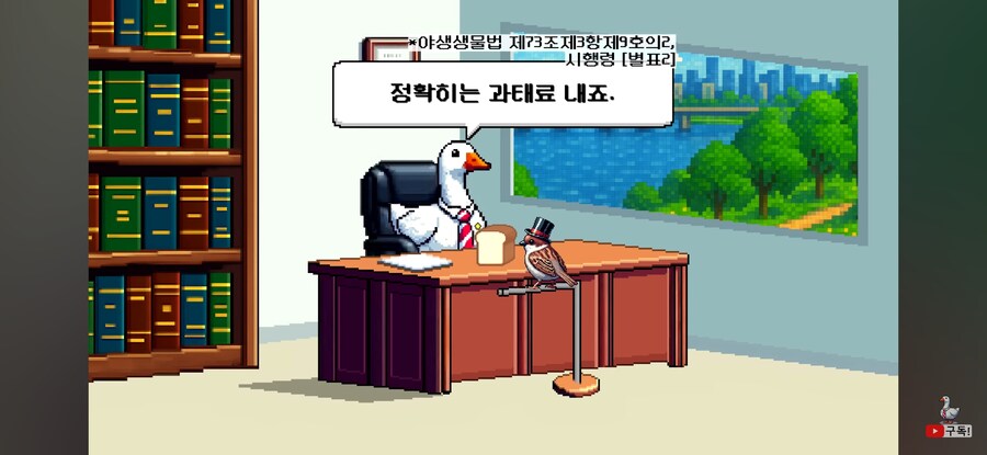 비둘기 밥주면 진짜 과태료를 내는가?_11.jpg