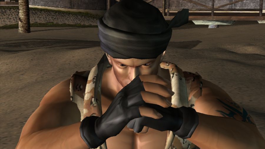 DEAD OR ALIVE 3_3.jpg