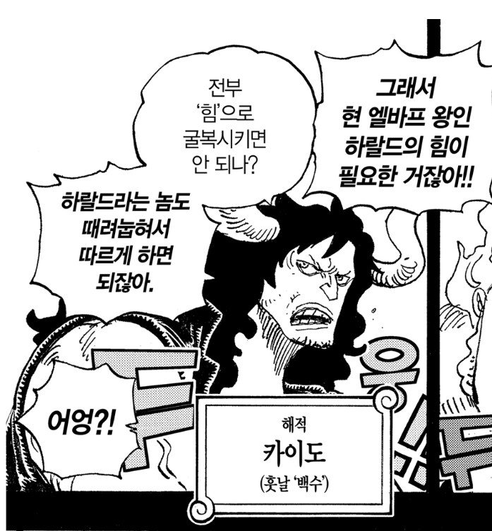 원피스 폐급 신병 카이도 특_1.jpg