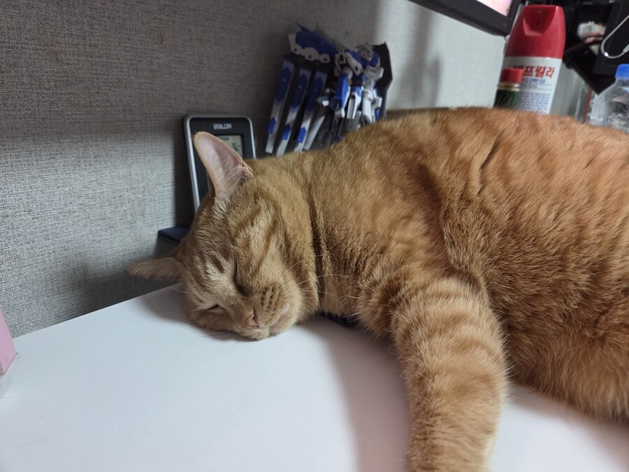 유게이분들, 지금 상황파악이 덜되셨나본데......_1.jpg