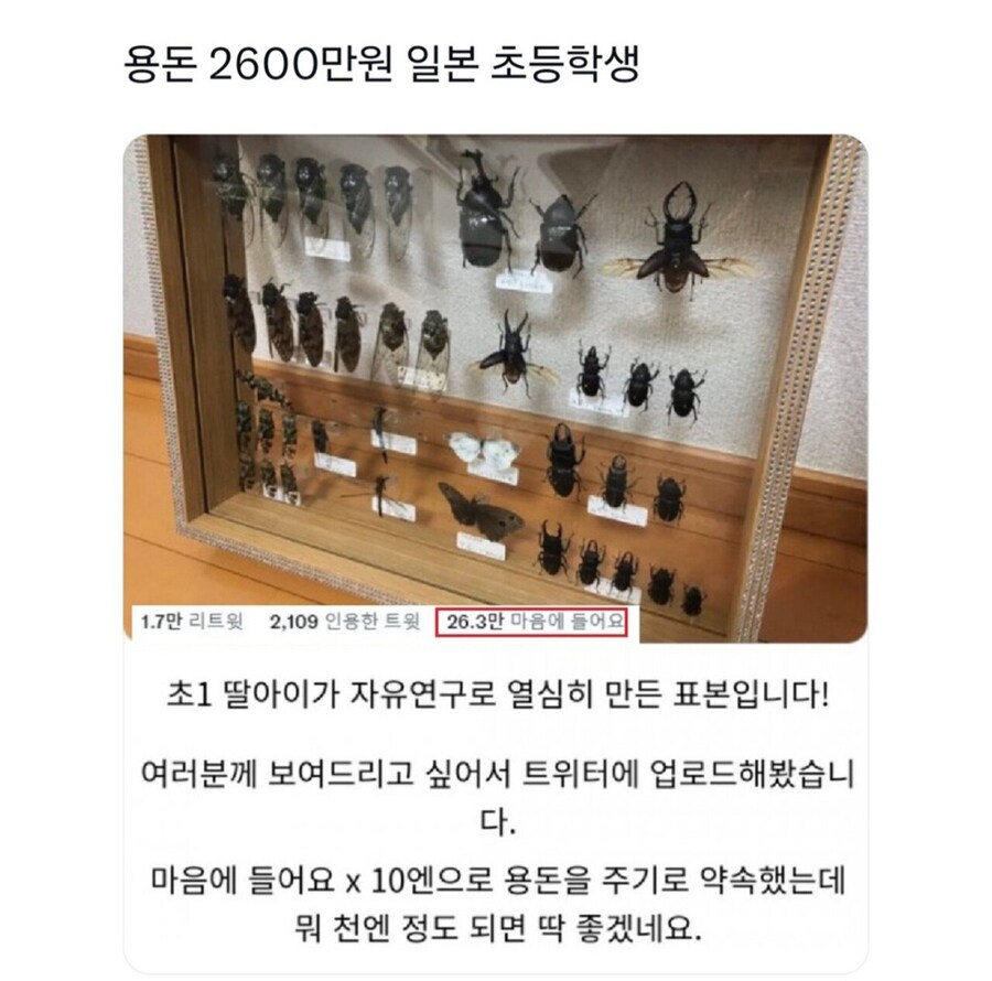 용돈 2,600만원 일본 초등학생_1.jpg