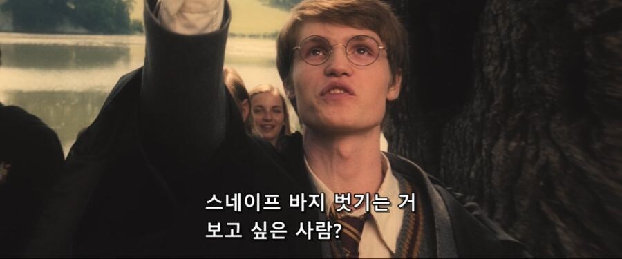 제임스 포터가 세베루스 스네이프보다 더 안 좋게 재평가되는 이유_2.jpg