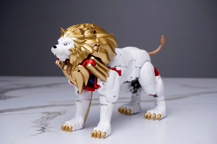 트랜스포머 40주년 셀렉션 라이오 콘보이_2.jpg