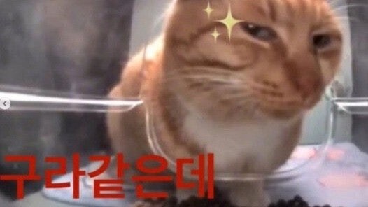 내일의 냐루비_1.jpg
