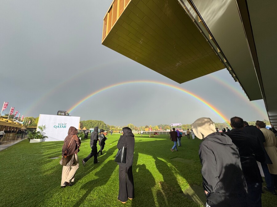 말딸,경마) 개선문상 게이트 순서 와 말 소개 파파고 번역_6.jpg