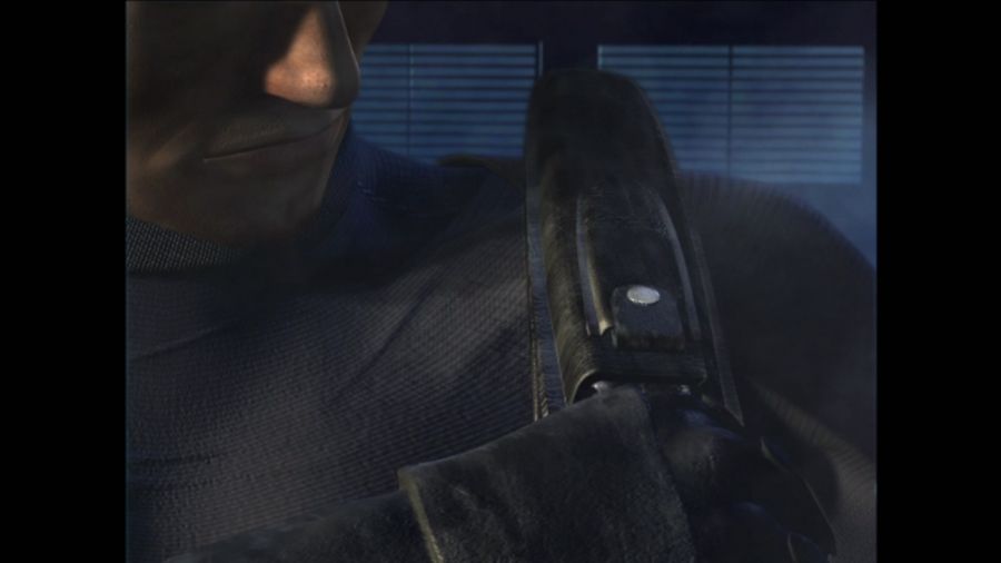 DEAD OR ALIVE 3_39.jpg