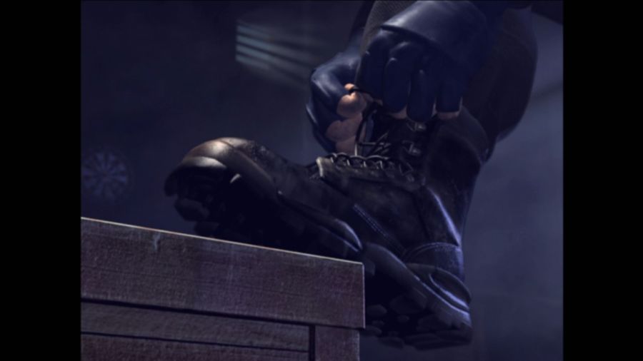 DEAD OR ALIVE 3_41.jpg