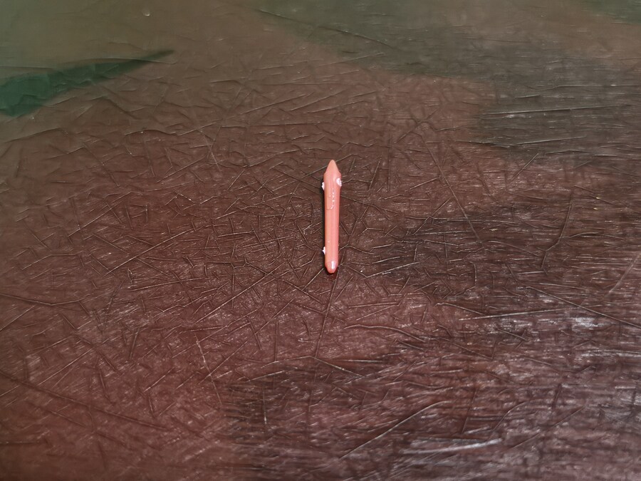 야쿠시지 쿠온 카가리비 마리아 의상 Ver & 어레인지 위그 히메 컷 포니테일_40.jpg