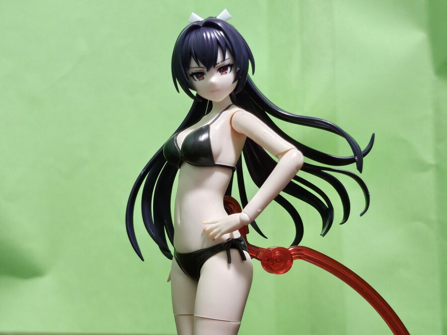 야쿠시지 쿠온 카가리비 마리아 의상 Ver & 어레인지 위그 히메 컷 포니테일_457.jpg