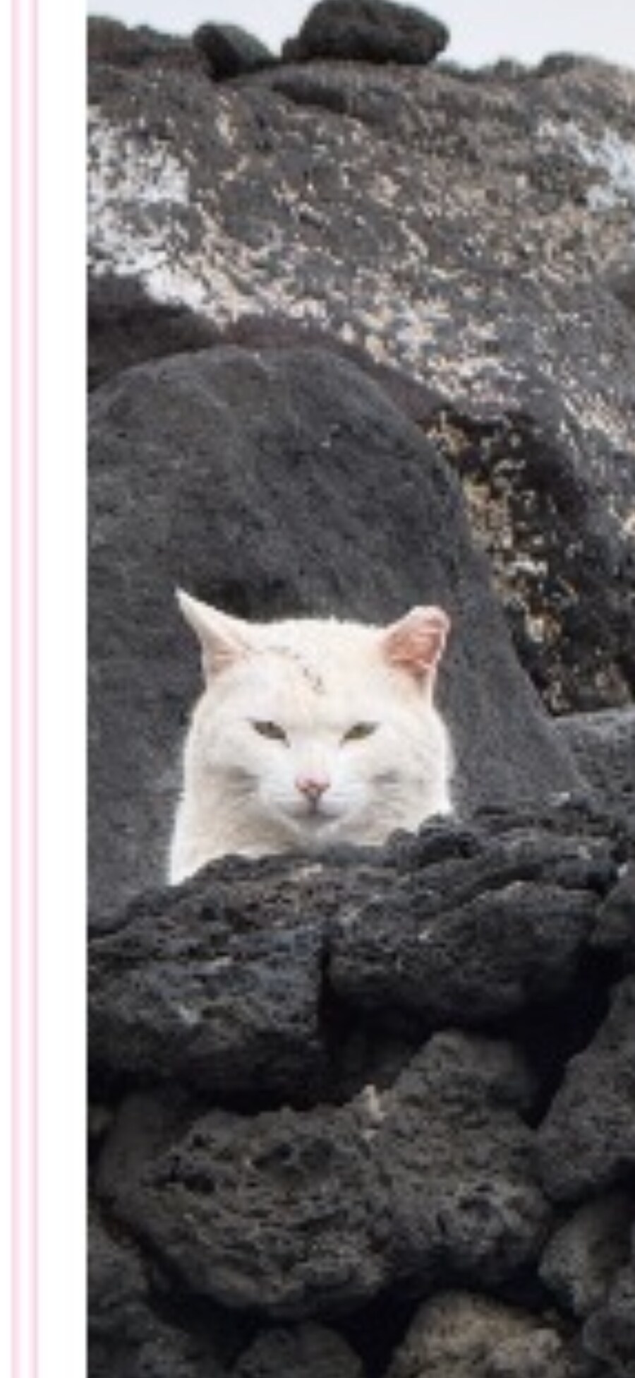 하찮은 보복_8.png