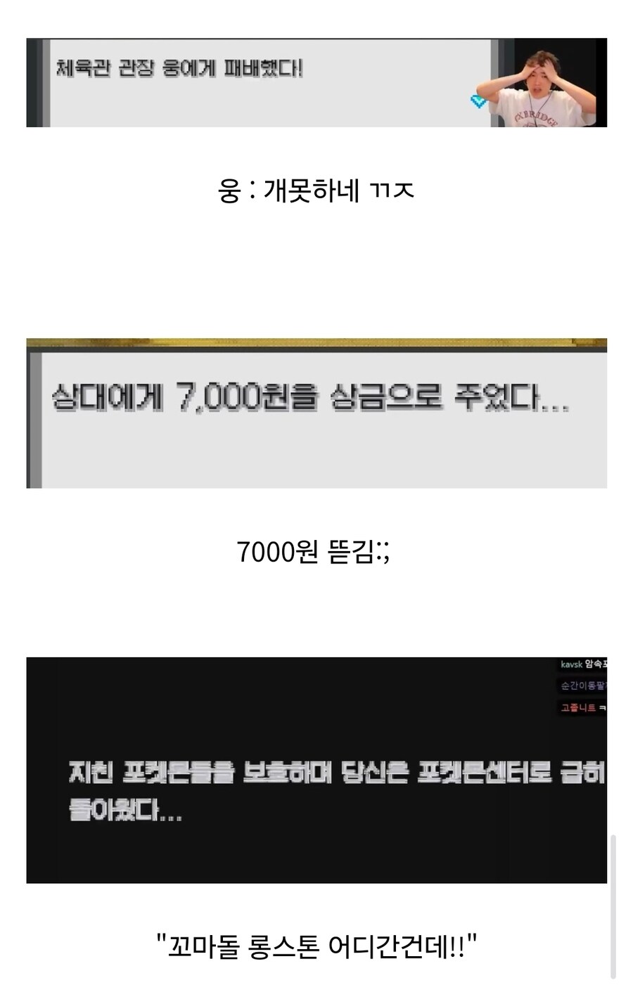 포켓몬 웅이한테 개털린 스트리머.jpg_9.jpg