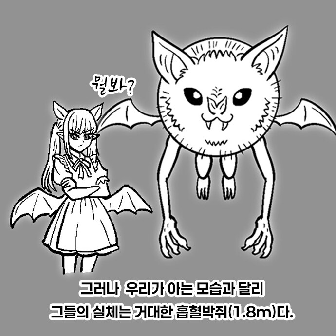 서큐버스에 대한.manhwa_2.png